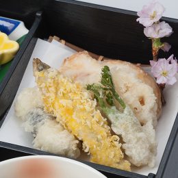 お祝い雛ちらし